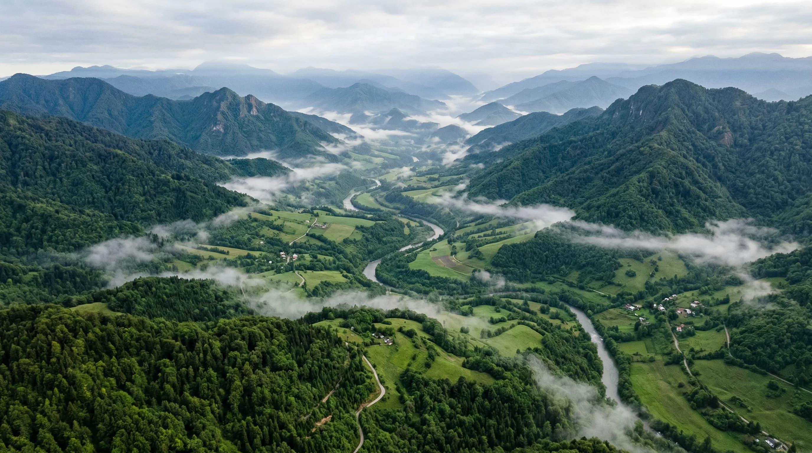 Aerial view of misty alpine valley with meandering river, dense forest, green meadows, and mountain peaks in morning fog