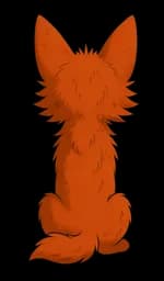 Tripo 3.0 Multiview input