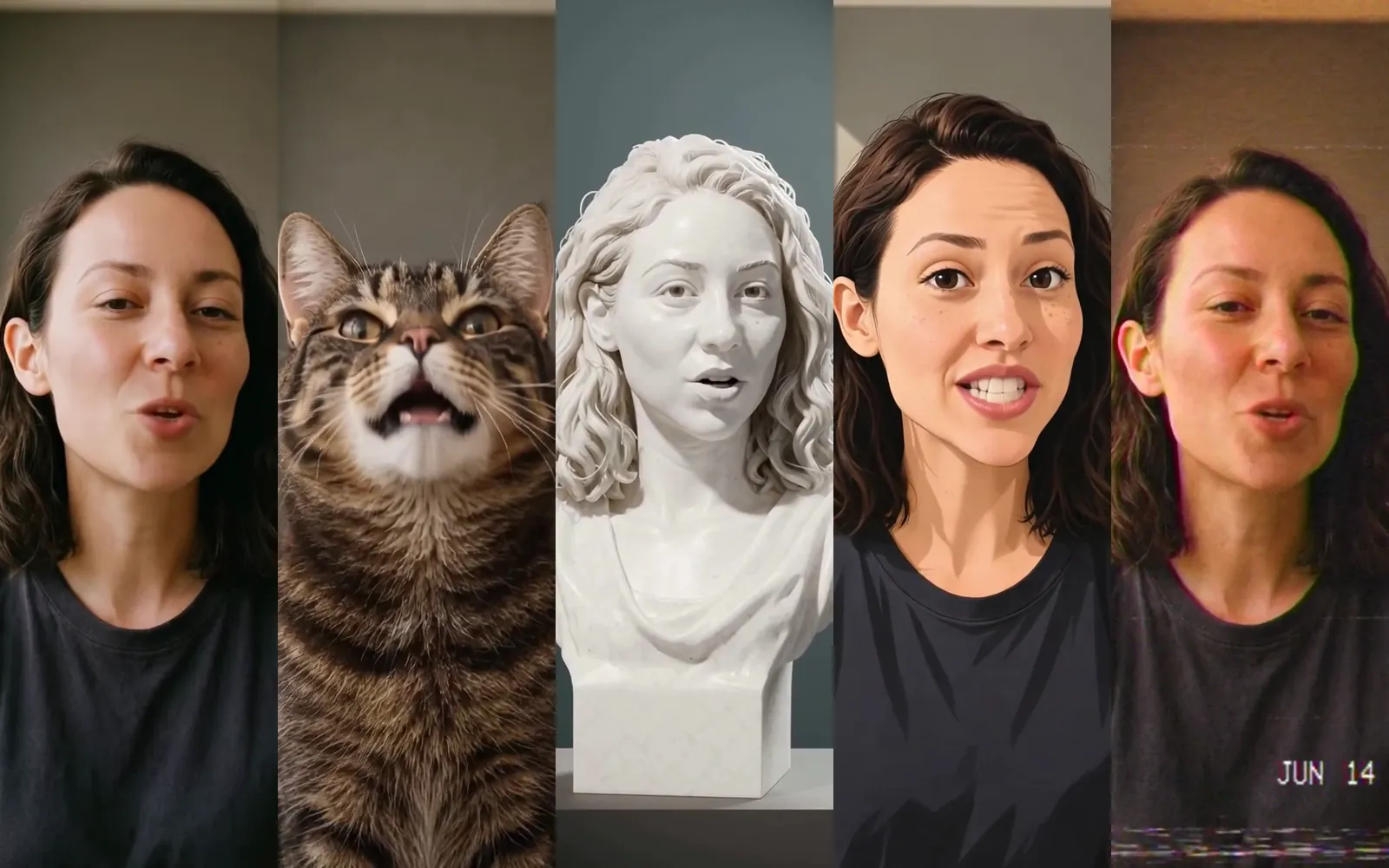 As written, as your cat, as a marble bust, as anime, on a 1990s camcorder: five of the finished takes, frame 1.0 s.