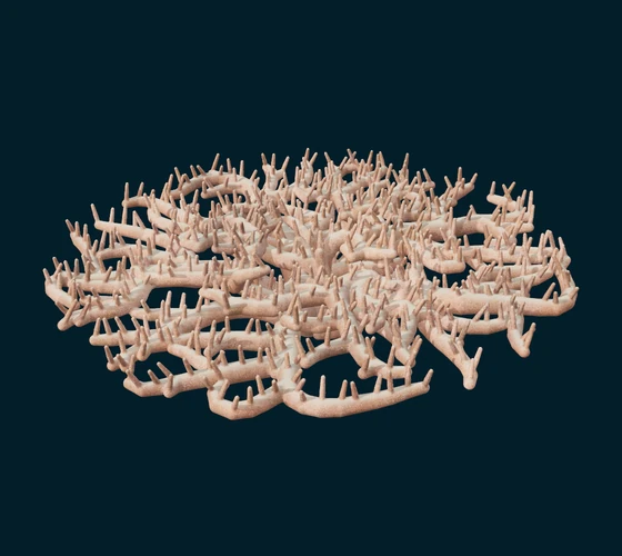 Table coral — Procedural coral
