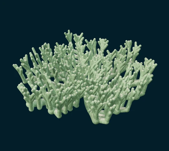 Branching coral — Procedural coral