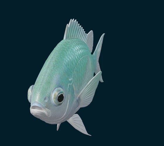 Blue-green chromis — 3D game asset