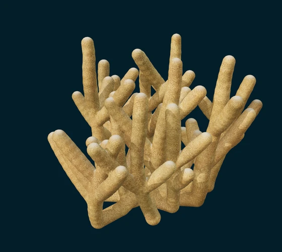 Finger coral — Procedural coral