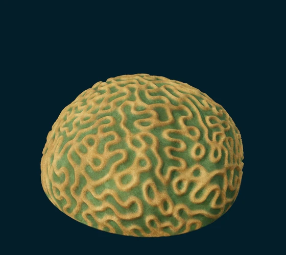 Brain coral — Procedural coral