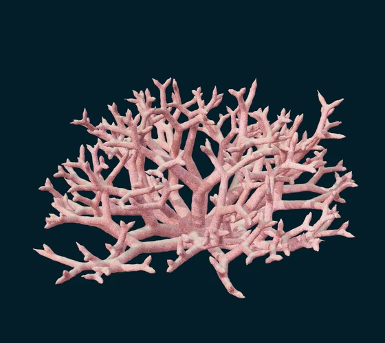 Bird’s nest coral — Procedural coral