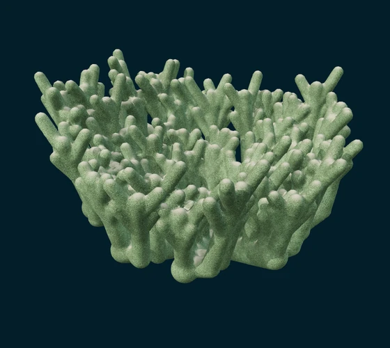 Club coral — Procedural coral