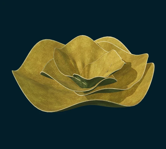 Scroll coral — Procedural coral