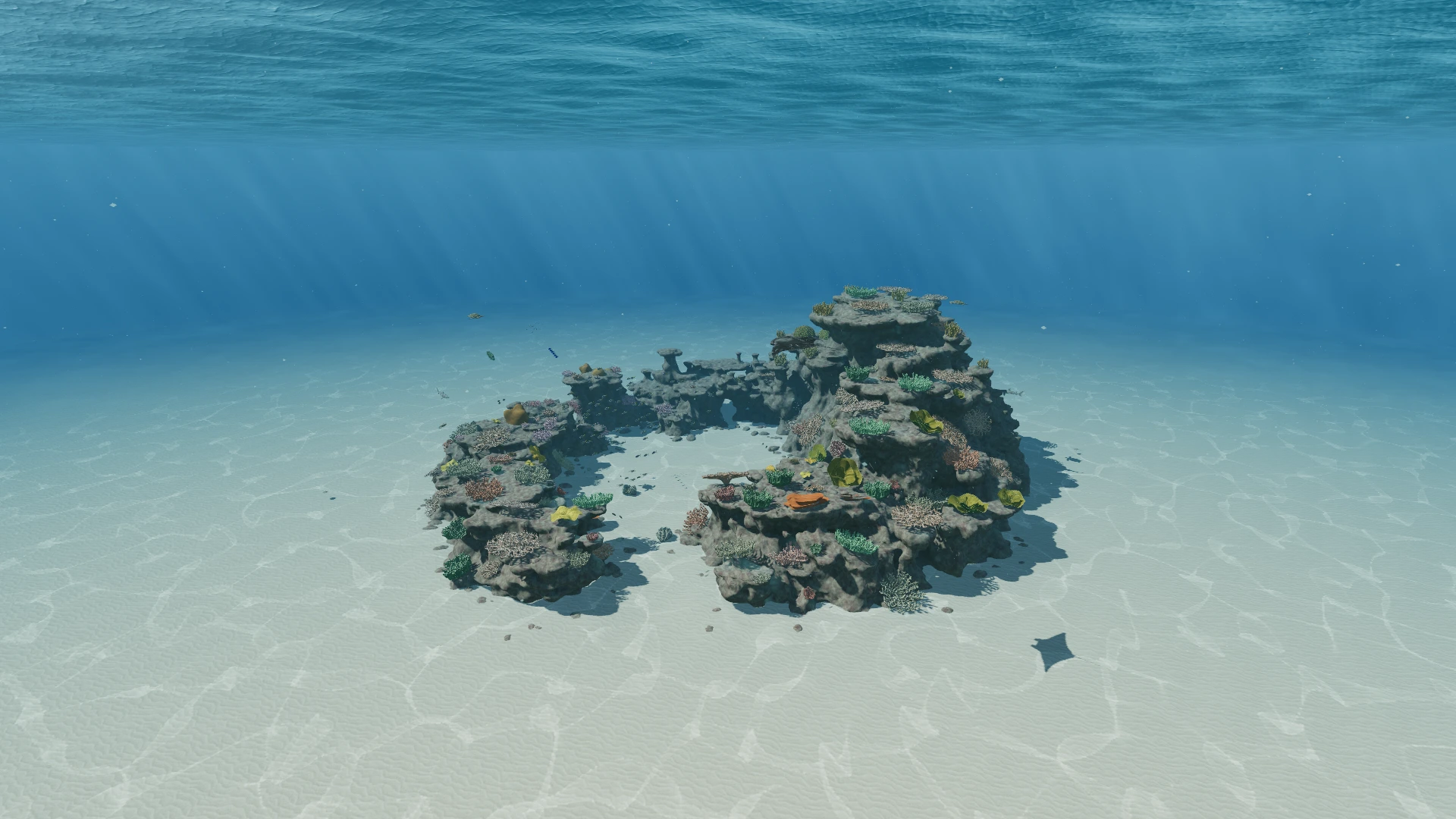 A restored crescent reef with colourful coral colonies, fish and clear blue water