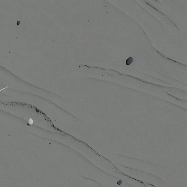 Grey seafloor silt with ripples