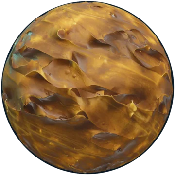 Kelp texture