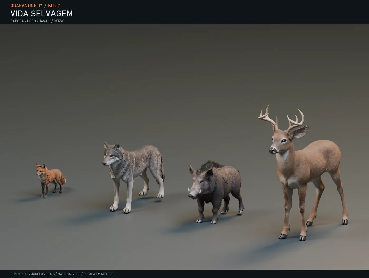 Closer look at the pets & wildlife kit