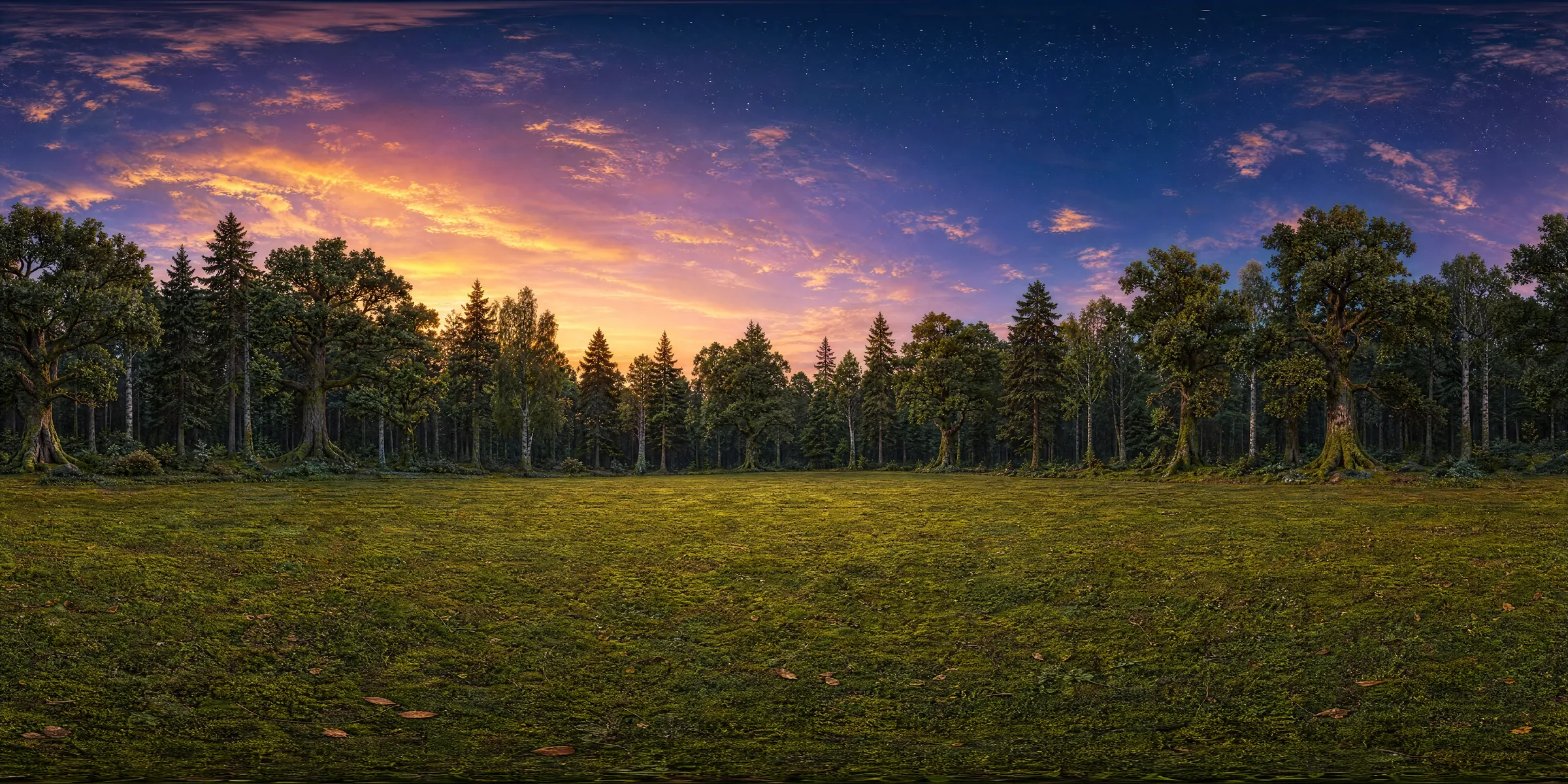 The full skybox panorama, unrolled: a ring of tall oaks, pines and birches around a mossy clearing, under a dusk sky with a warm glow on one side